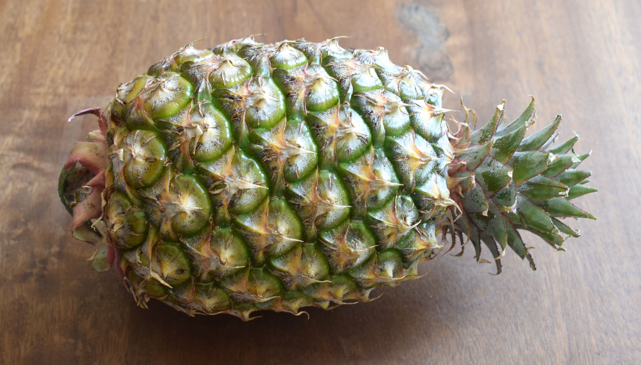 受保護的內容: 鳯梨 不同季節的外觀